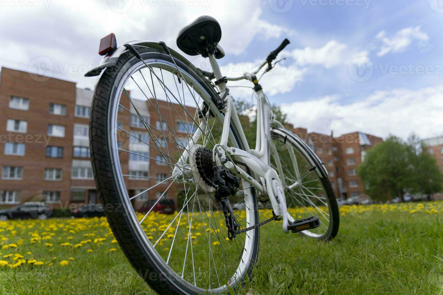 hermosa elegante De las mujeres bicicleta blanco en un antecedentes de verde césped foto