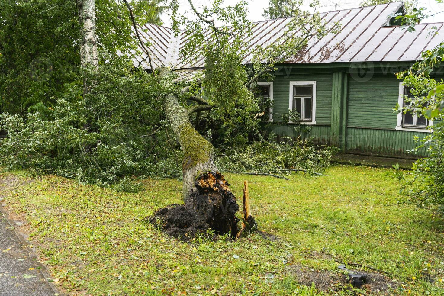 a tree broken by the wind lies next to a private house photo