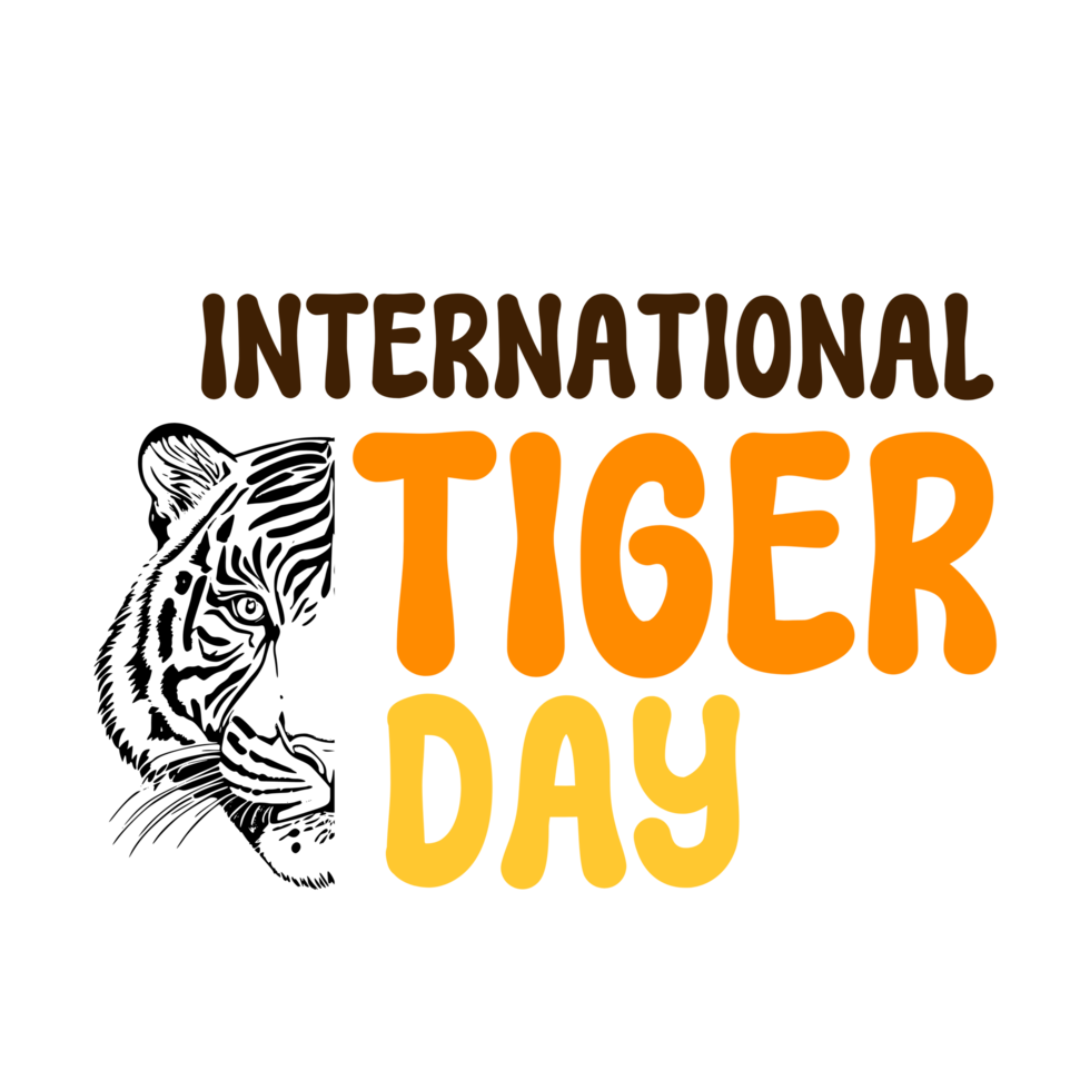 Internationale tijger dag tekst typografie, kalligrafie, belettering opschrift clip art Aan transparant achtergrond, tijger clip art Aan transparant achtergrond, tijger dag png