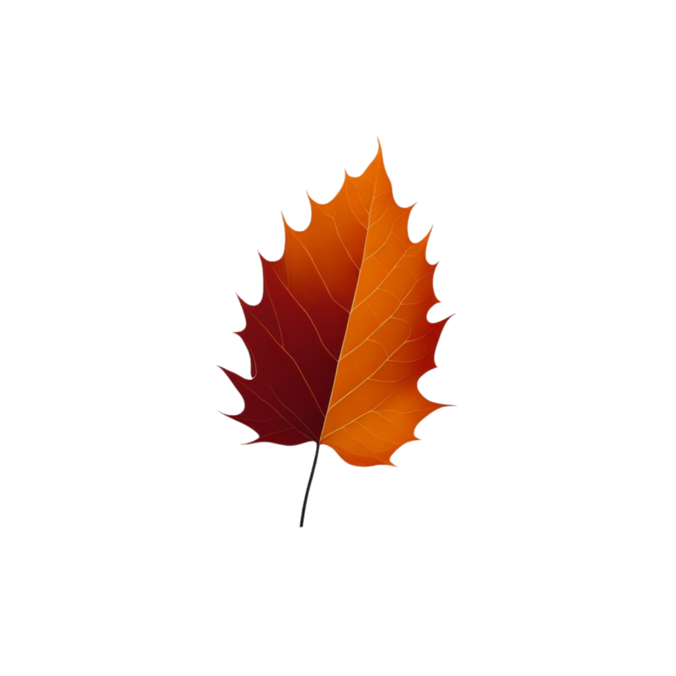 red and orange Autumn leaf clipart, isolated, transparent background, fall leaf isolated, autumn  foliage clipart,  seasonal leaf, vibrant and colorful  autumn leaf illustration png