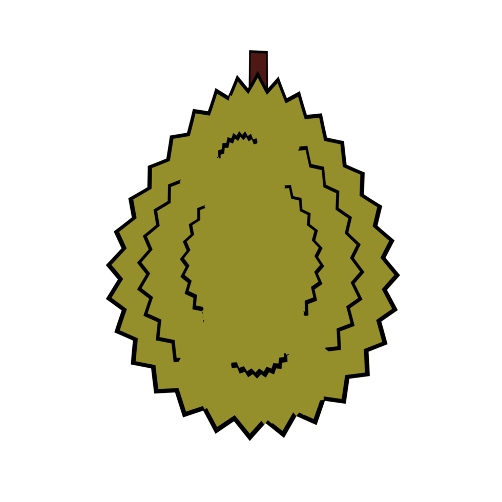 Isolated full Jackfruit illustration, Whole jackfruit clipart, Full