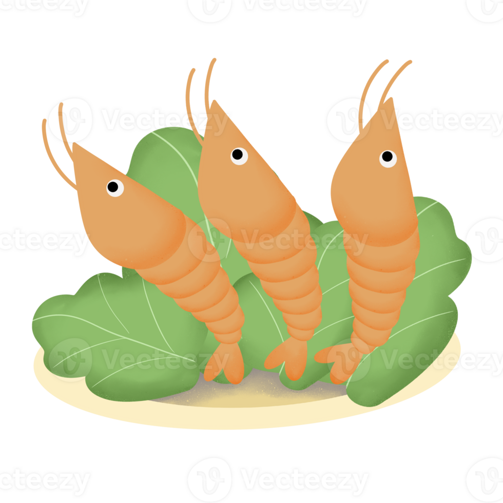 Seafood illustration, cartoon style, light color png