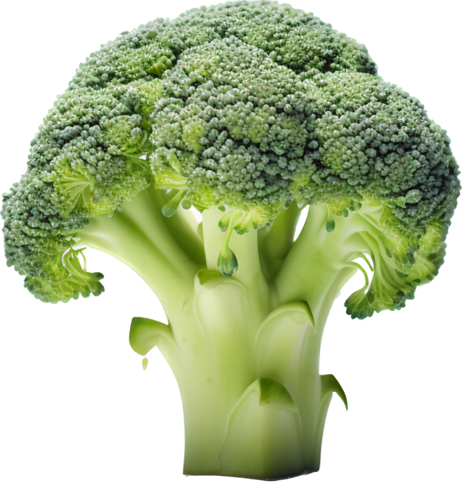 Broccoli png with AI generated.