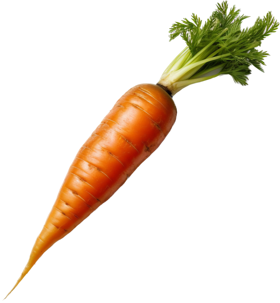 wortel PNG met ai gegenereerd.
