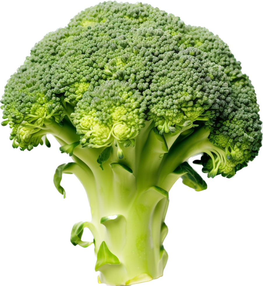 Broccoli with . png