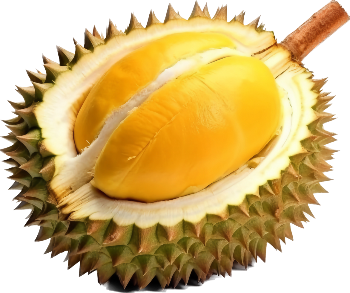 durian png avec ai généré.