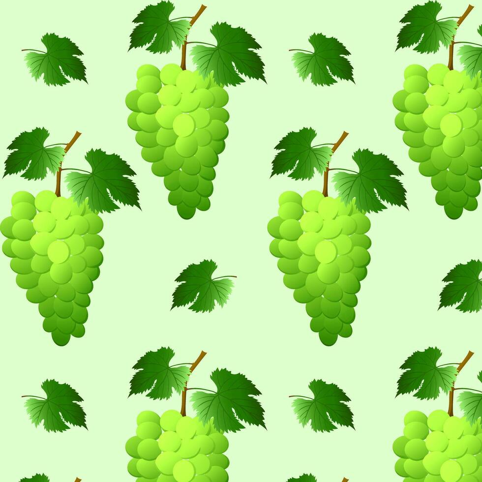 Seamless pattern green grape bunch with berries and leaves. For nature or healthy vitamin food design. Vector illustration