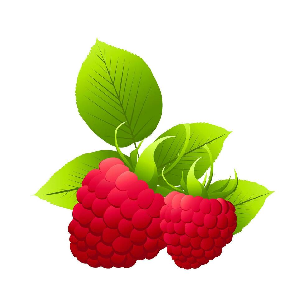 Raspberry food cartoon.For labels, menus, poster, print, or packaging design. Vector illustration