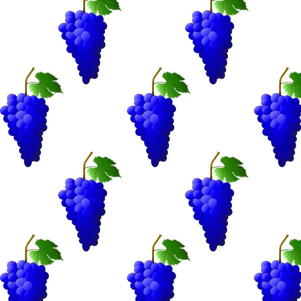 Seamless pattern blue grape bunch with berries and leaves. For nature or healthy vitamin food design. Vector illustration