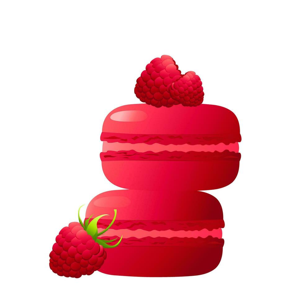 Red macarons with raspberries.Highly detailed dessert, macaroon, sweets, menu design, restaurants shop. Gradient macarons. Vector illustration