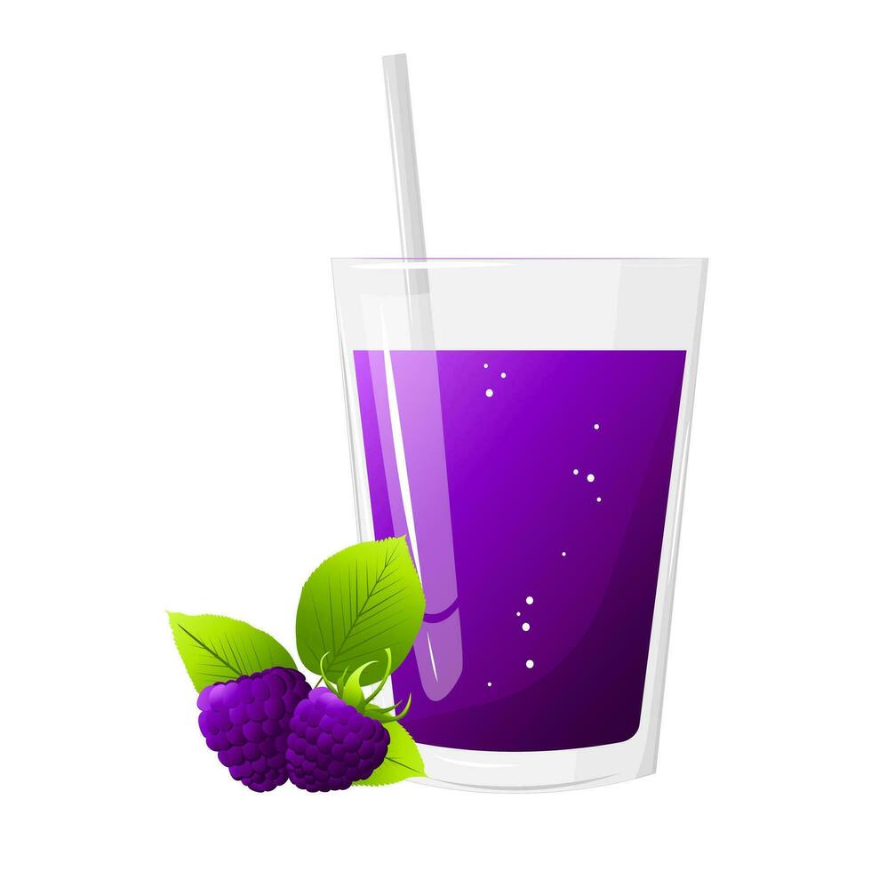 vaso de Mora jugo y frambuesas aislado en blanco antecedentes. para etiquetas, menús, póster, imprimir, o embalaje diseño. vector ilustración