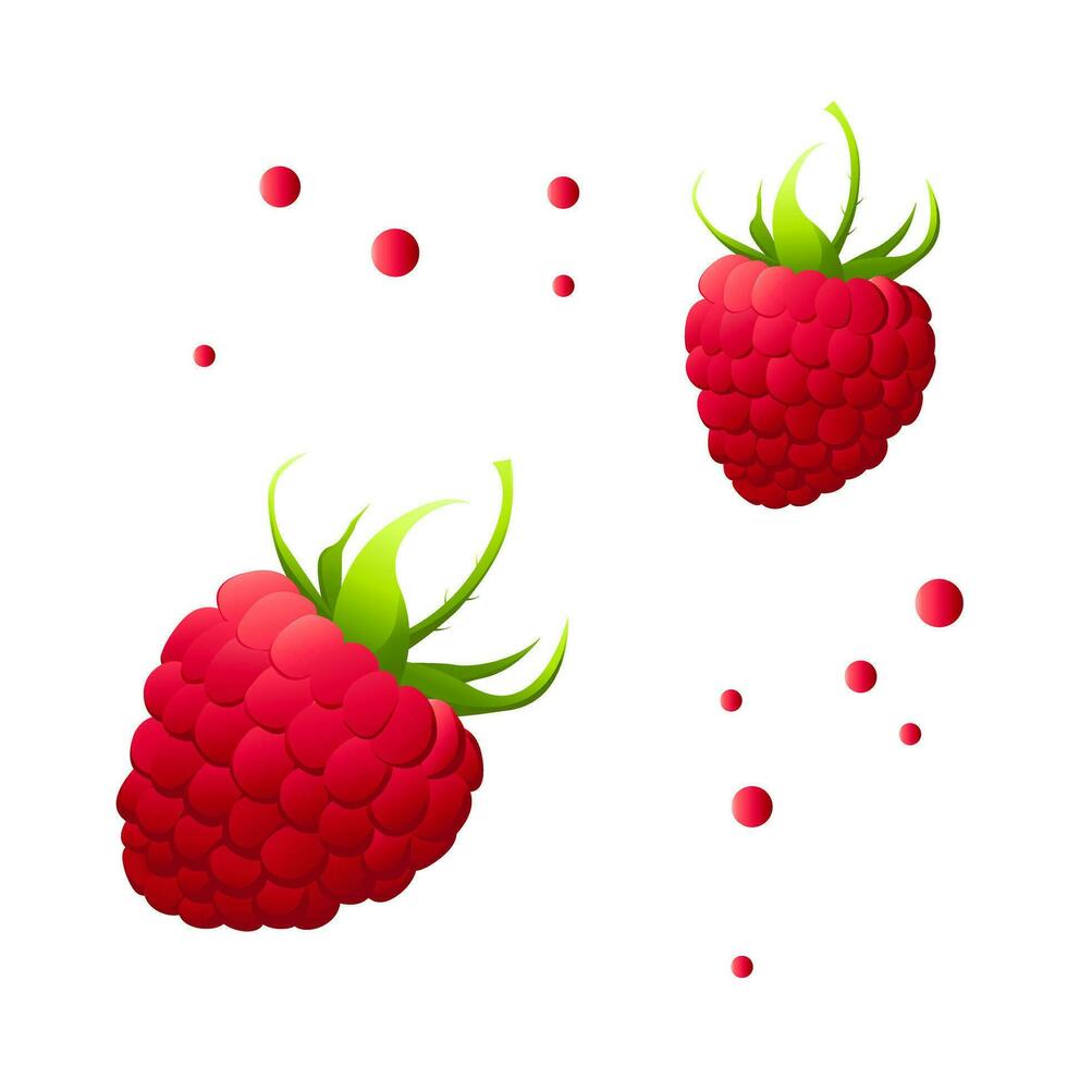 Raspberry food cartoon.For labels, menus, poster, print, or packaging design. Vector illustration