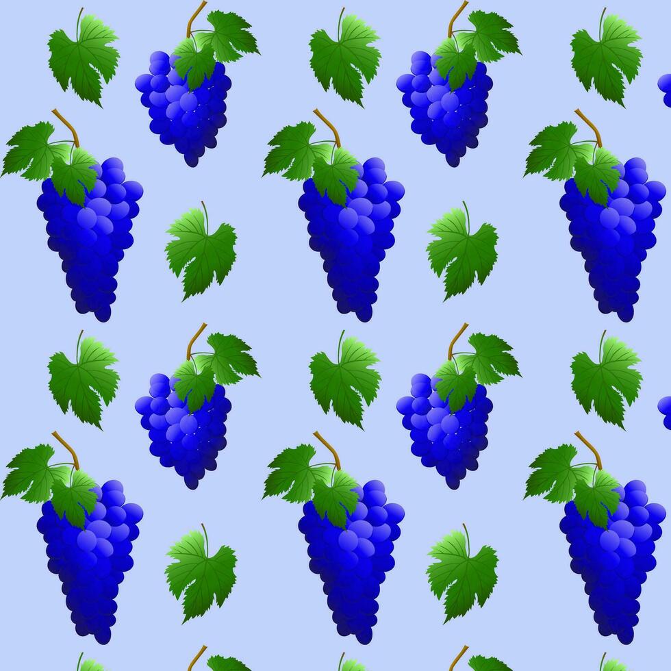 Seamless pattern blue grape bunch with berries and leaves. For nature or healthy vitamin food design. Vector illustration