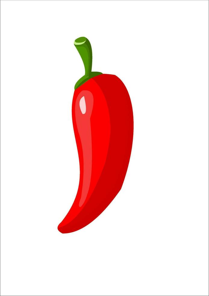 vector illustration of red chili