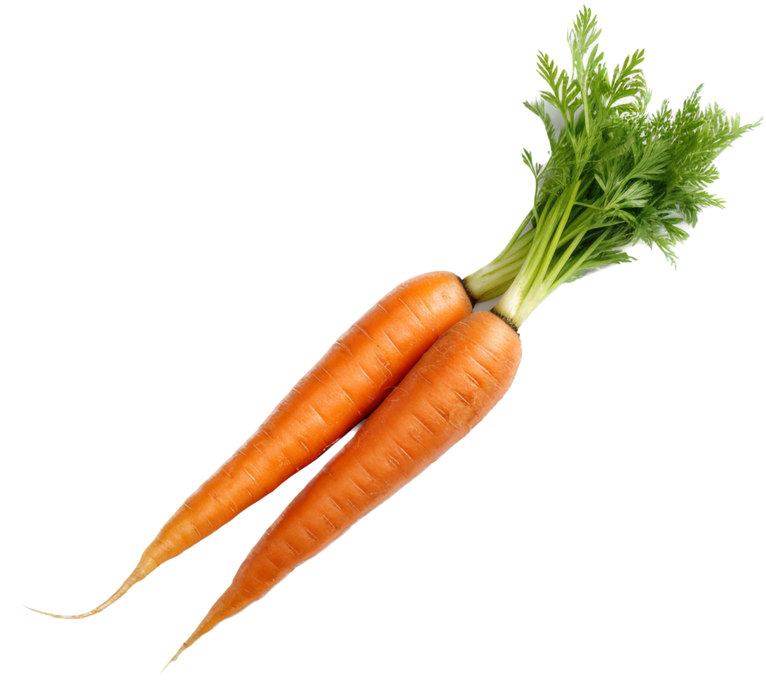 Carrot with . png