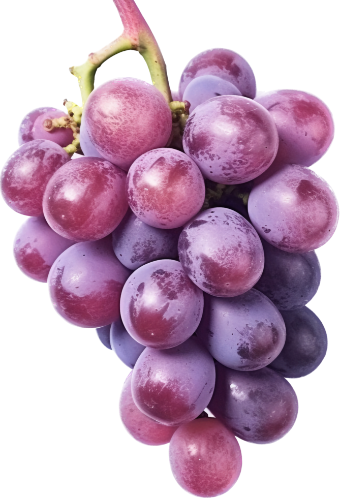 Grape png with AI generated.