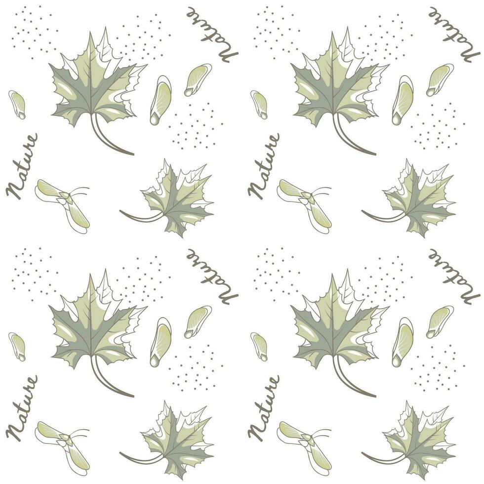 Seamless Pattern with Maple Leaves vector