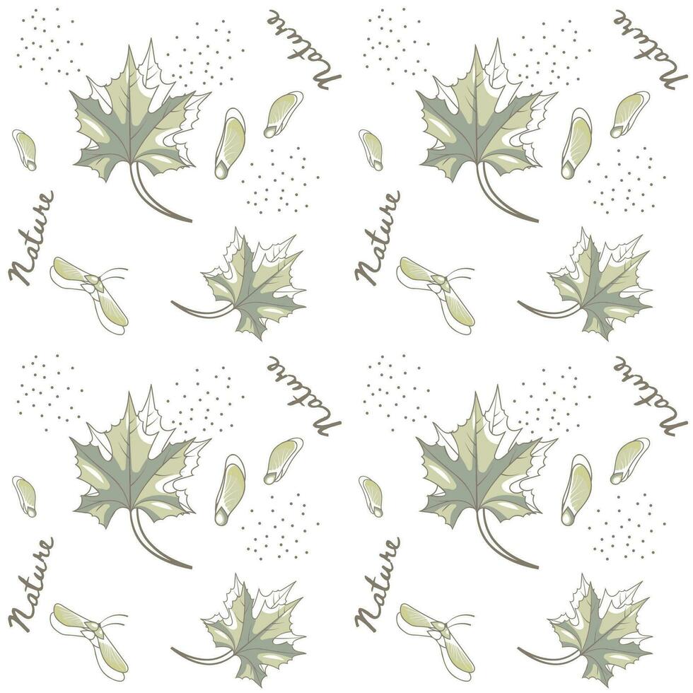Seamless Pattern with Maple Leaves vector