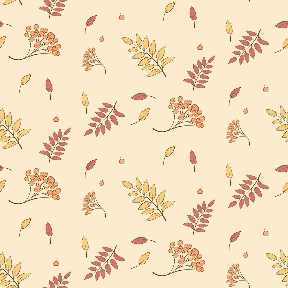 Seamless Autumn Pattern with Rowan Leaves and Berries vector