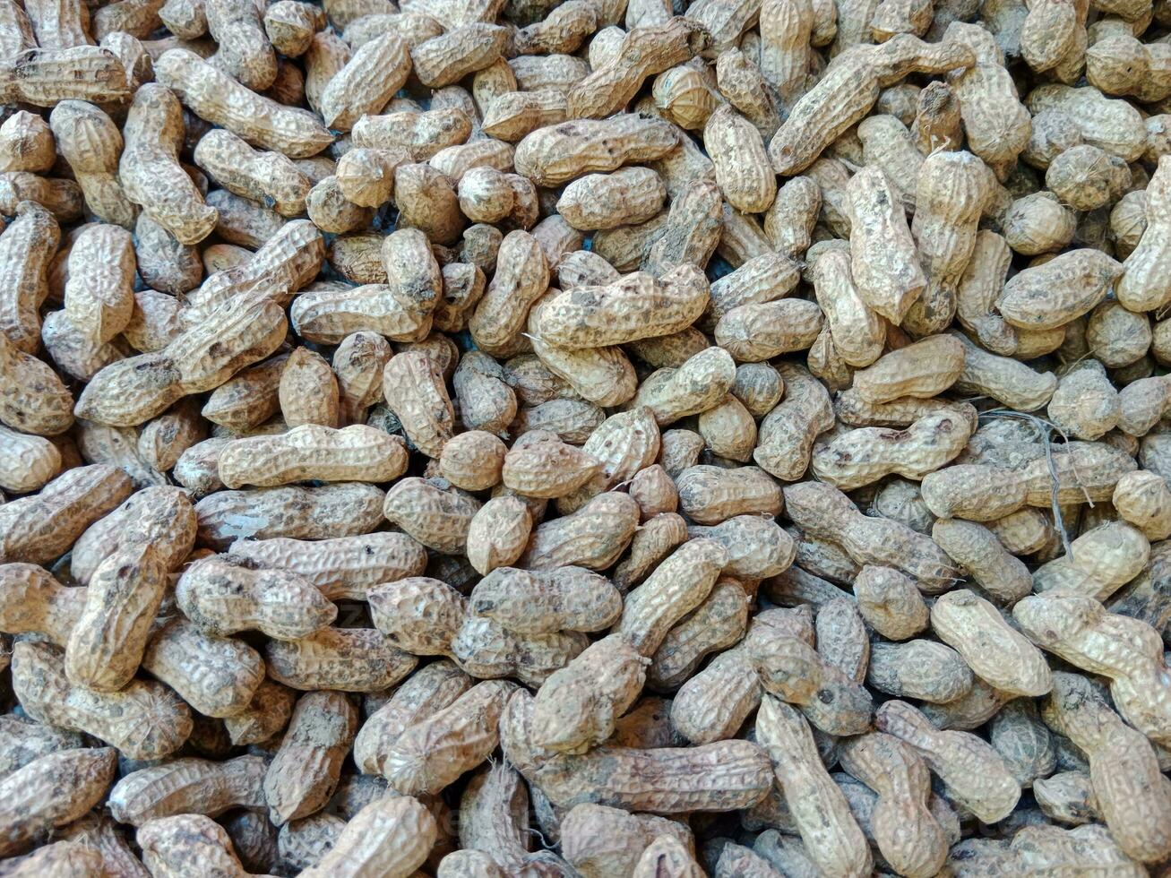 unpeeled peanuts texture. peanut background photo