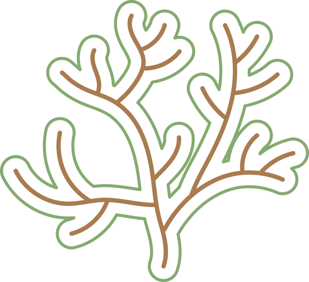 Coral and seaweed cute cartoon style png