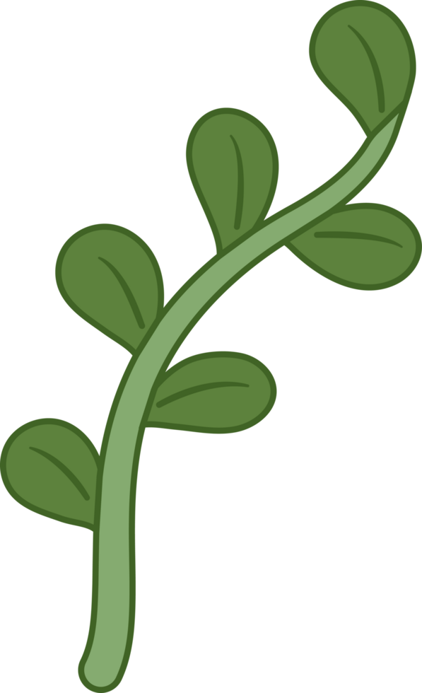 planta y algas marinas linda dibujos animados estilo png