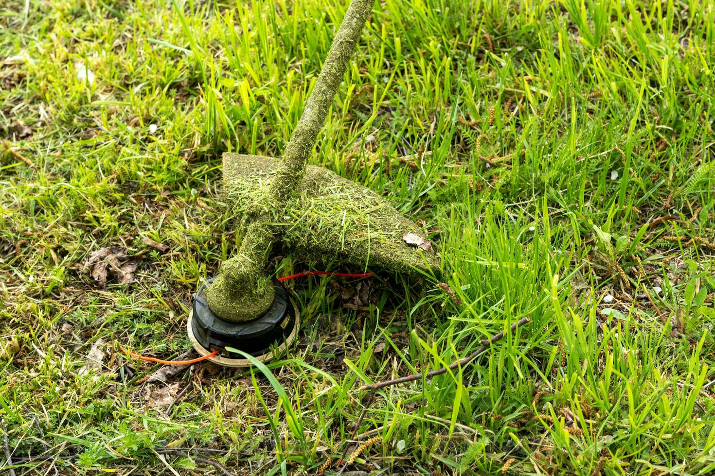 close-up of a grass trimmer during mowing. Landscaping concept photo