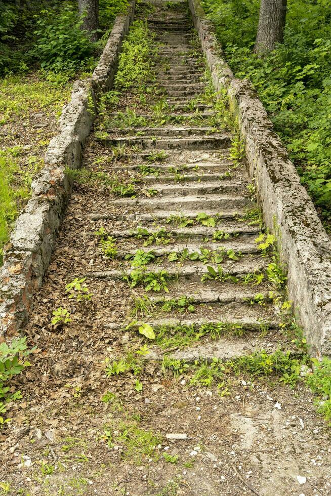 an old dilapidated stone staircase to the top overgrown with grass photo