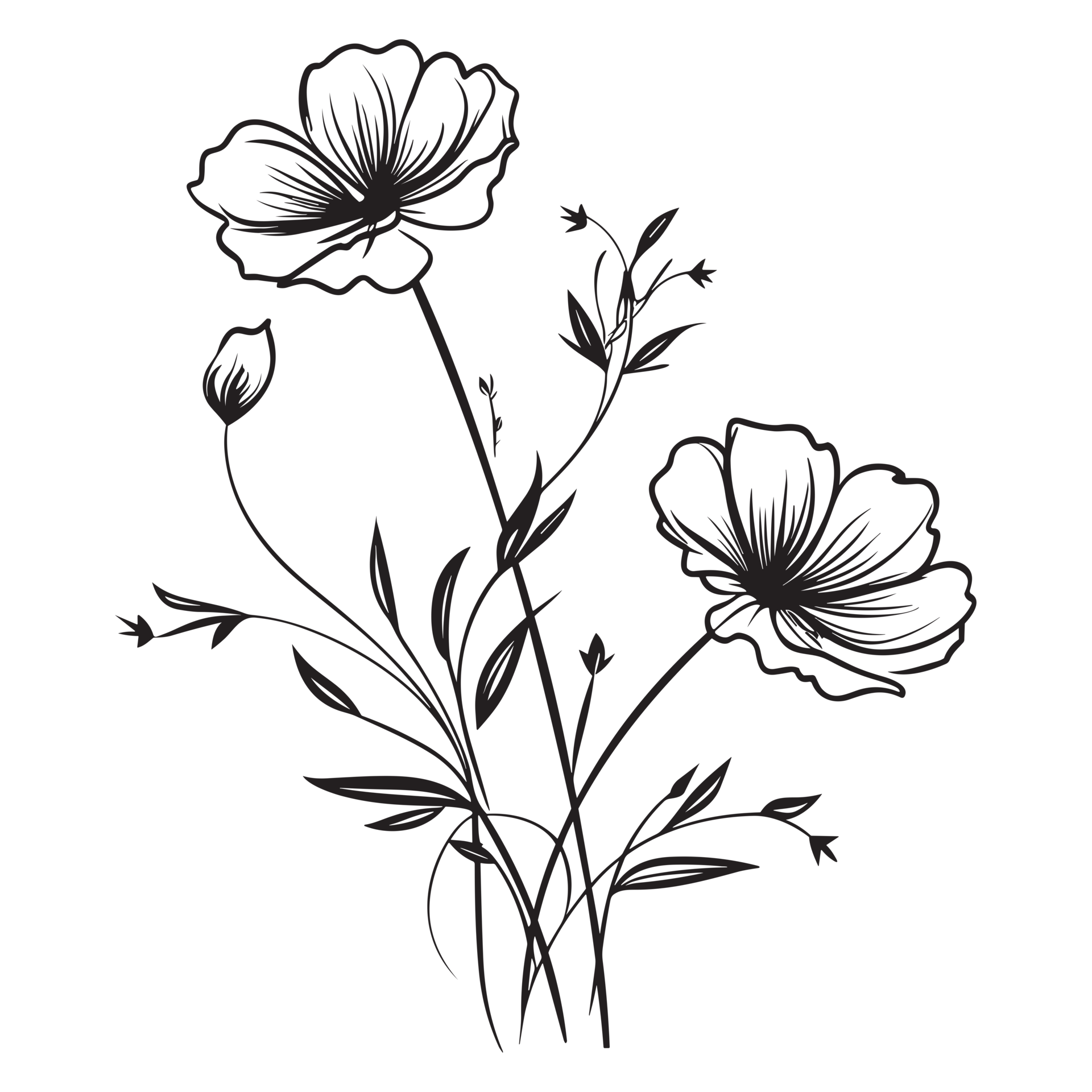 Beautiful Floral Silhouette - 25068753 PNG