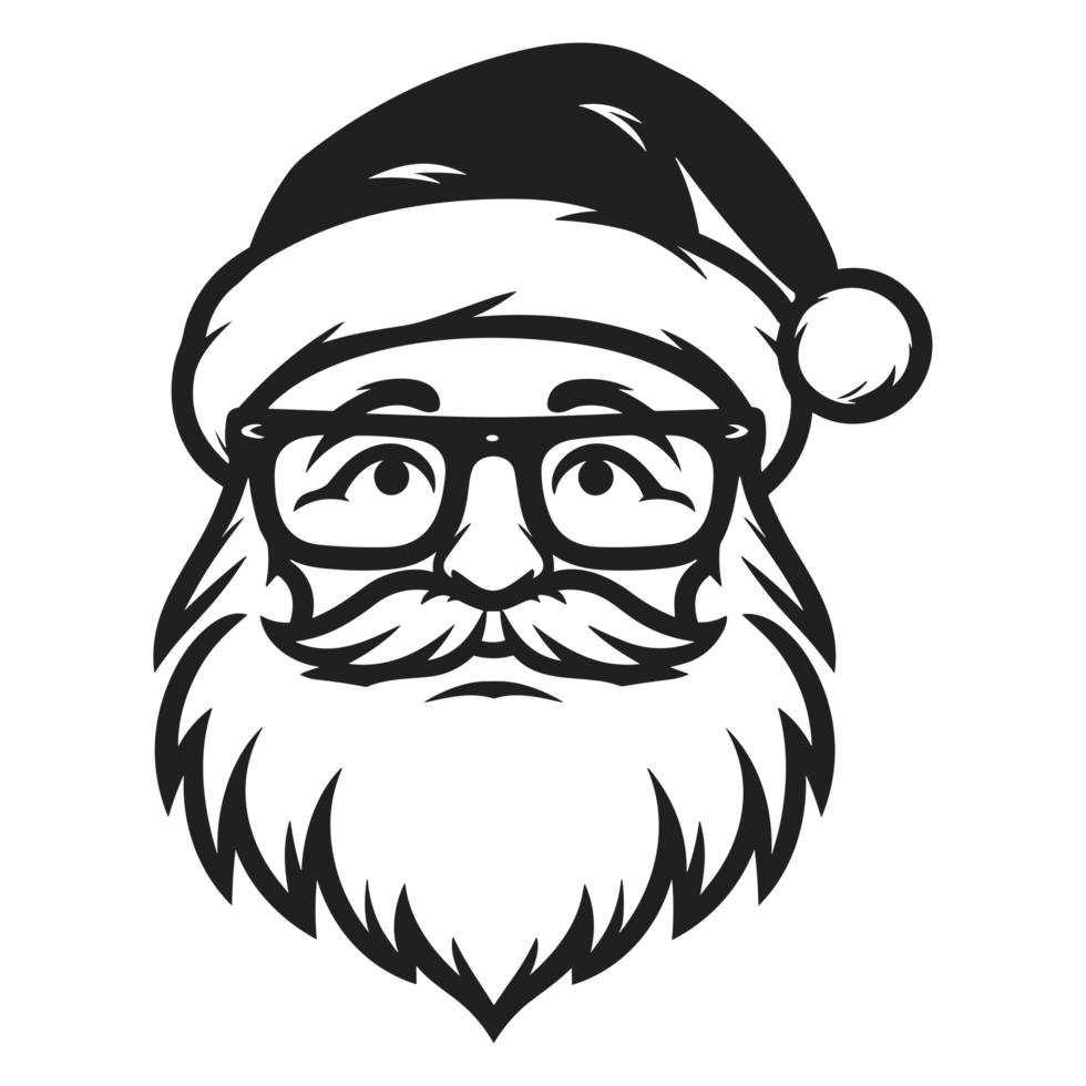 Beautiful Santa Face - png