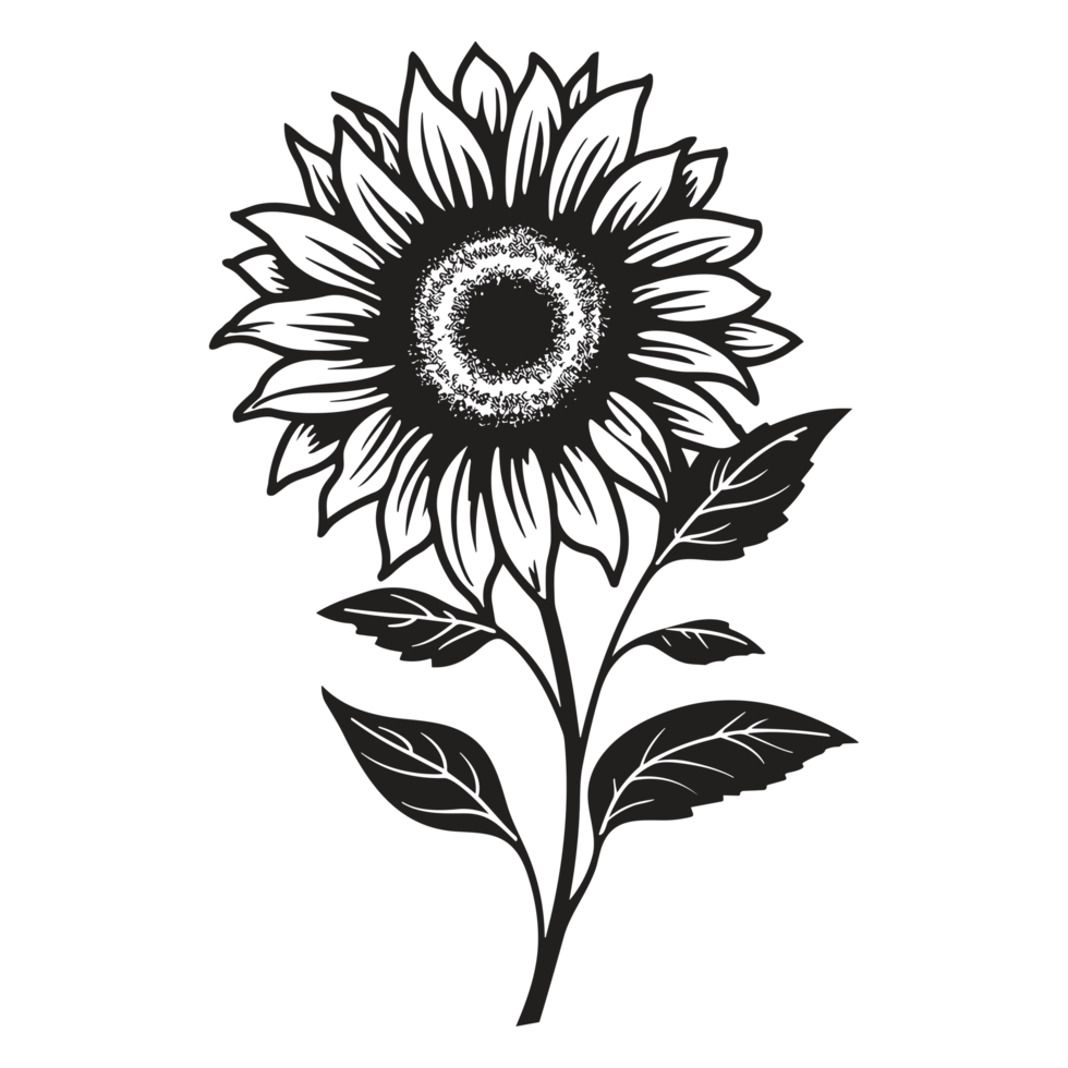 Beautiful Sunflower Silhouette - png