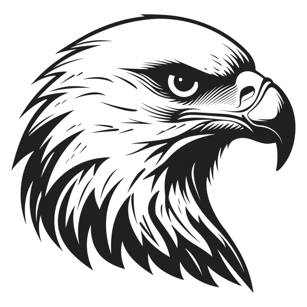 Beautiful Eagle Face Silhouette - png
