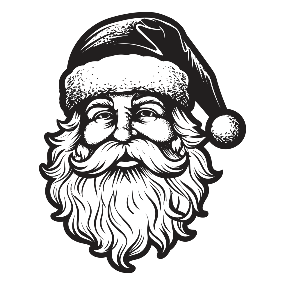 Beautiful Santa Face - png