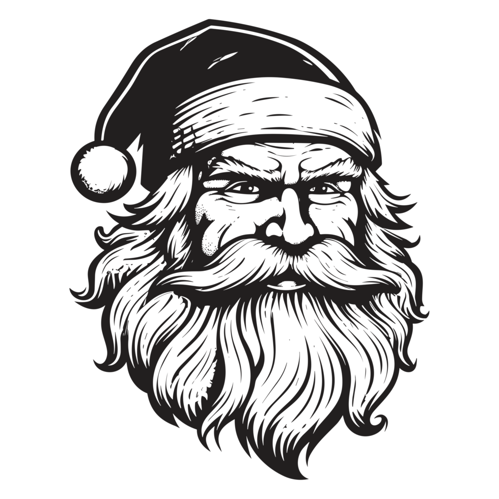 Beautiful Santa Face - png