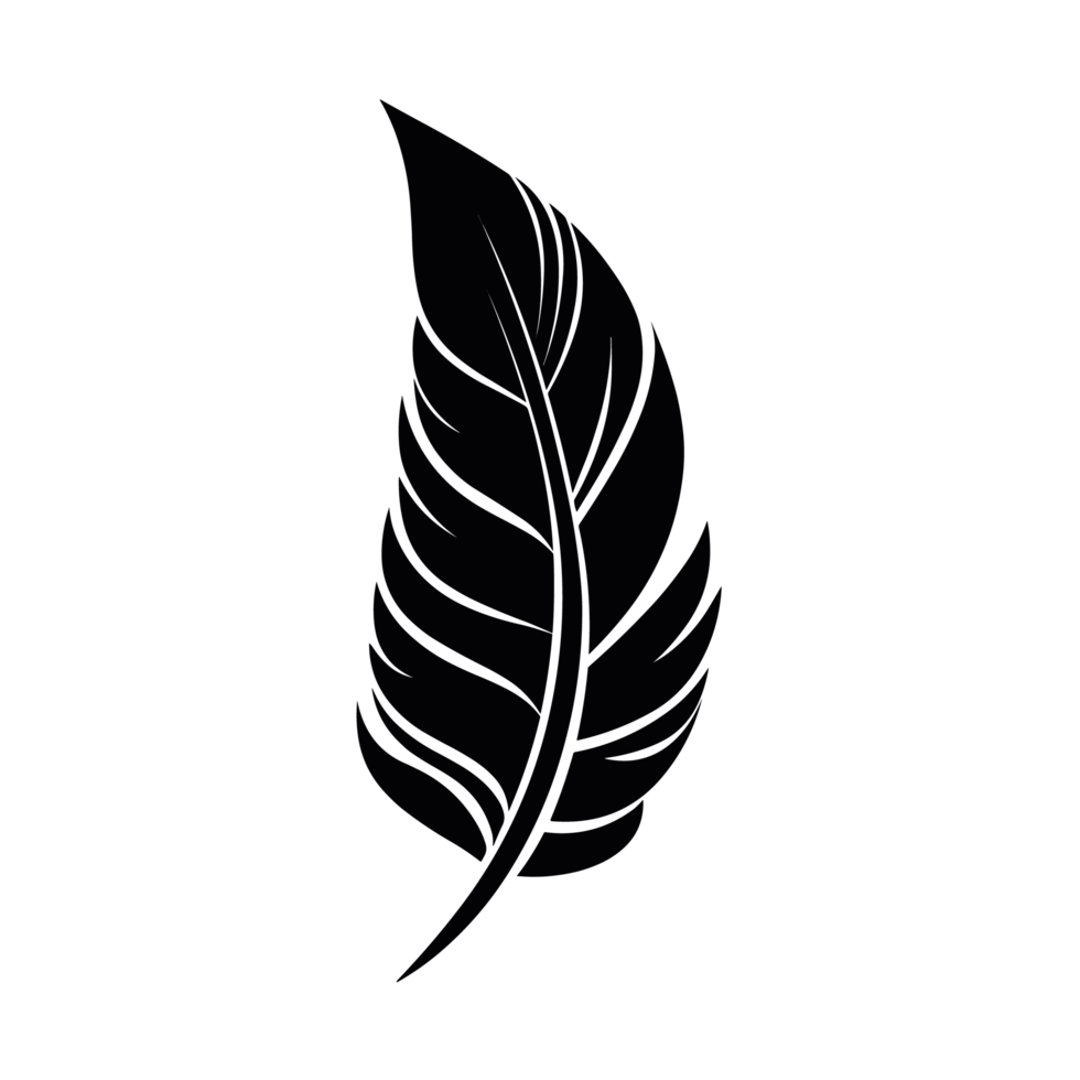 Beautiful Feather Silhouette - png