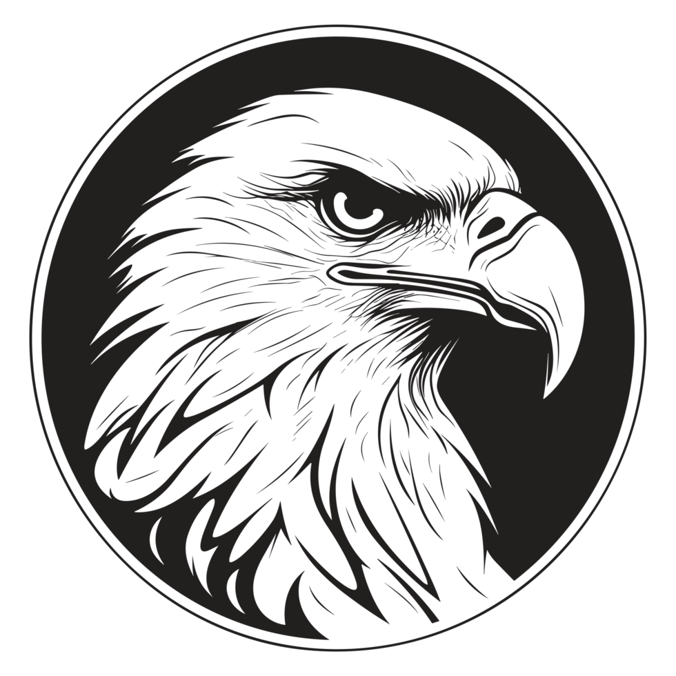 Beautiful Eagle Face Silhouette - png
