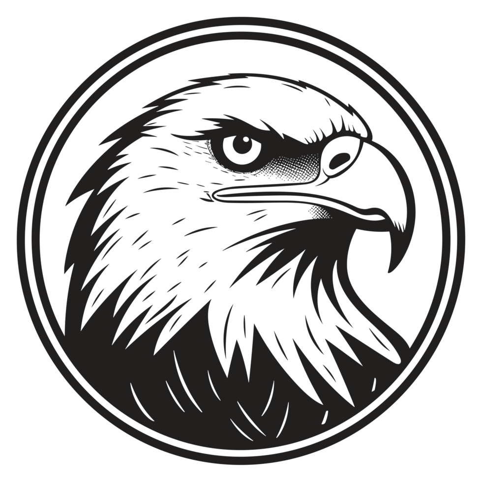 Beautiful Eagle Face Silhouette - png