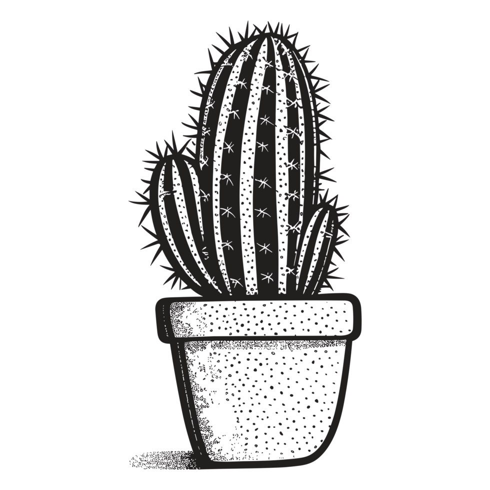 Beautiful Cactus - png