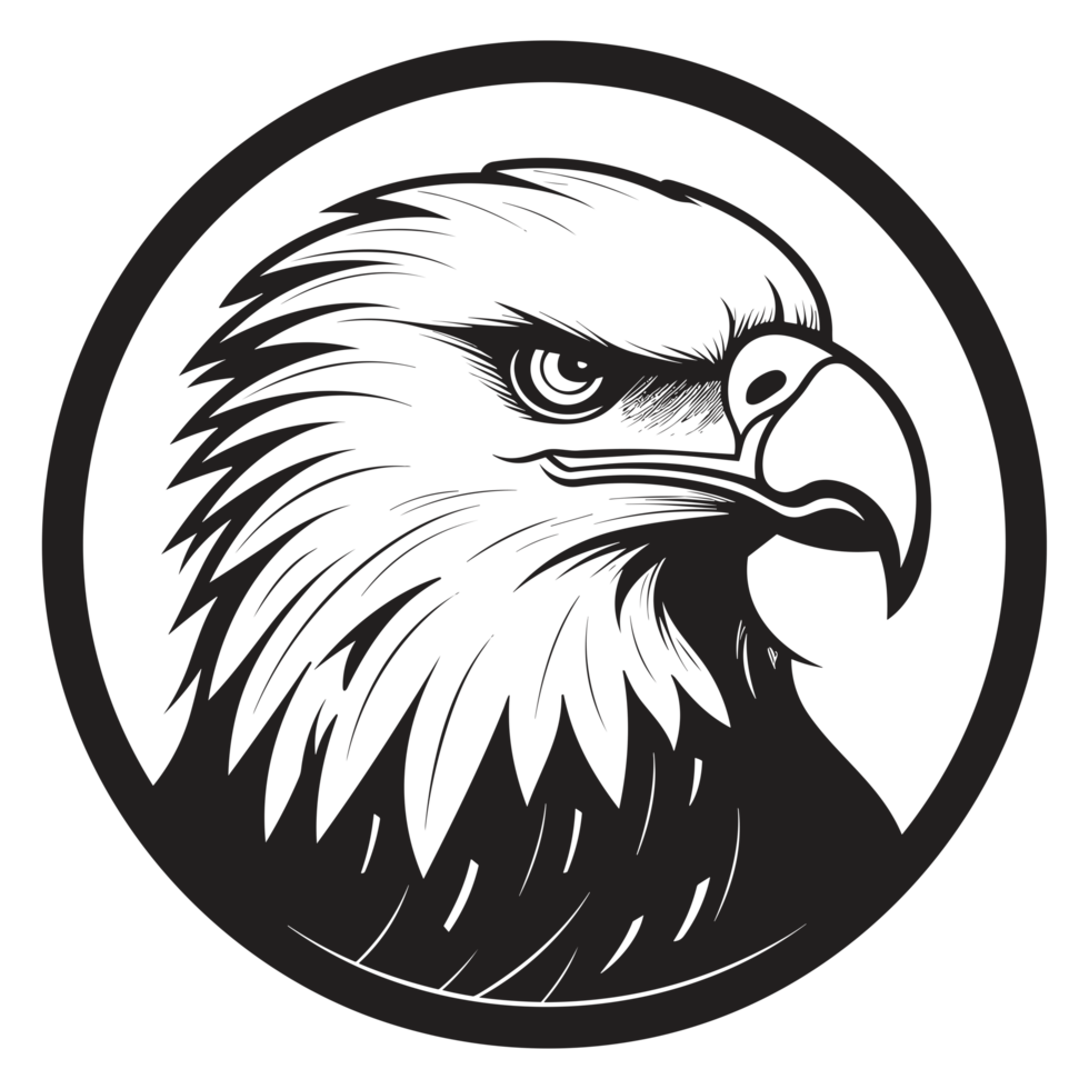 Beautiful Eagle Face Silhouette - png