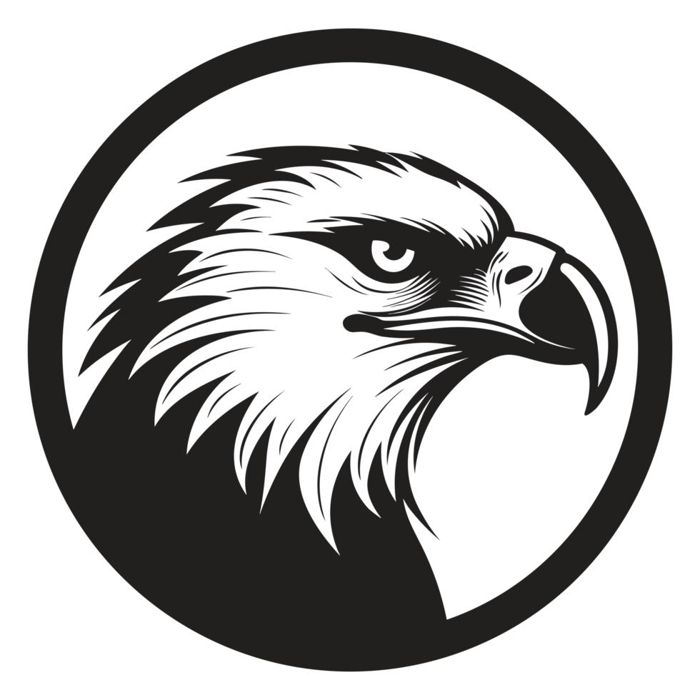 Beautiful Eagle Face Silhouette - png