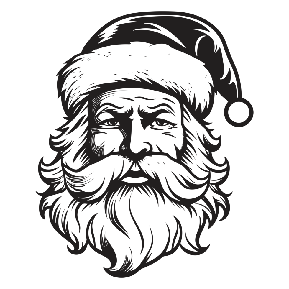 Beautiful Santa Face - png