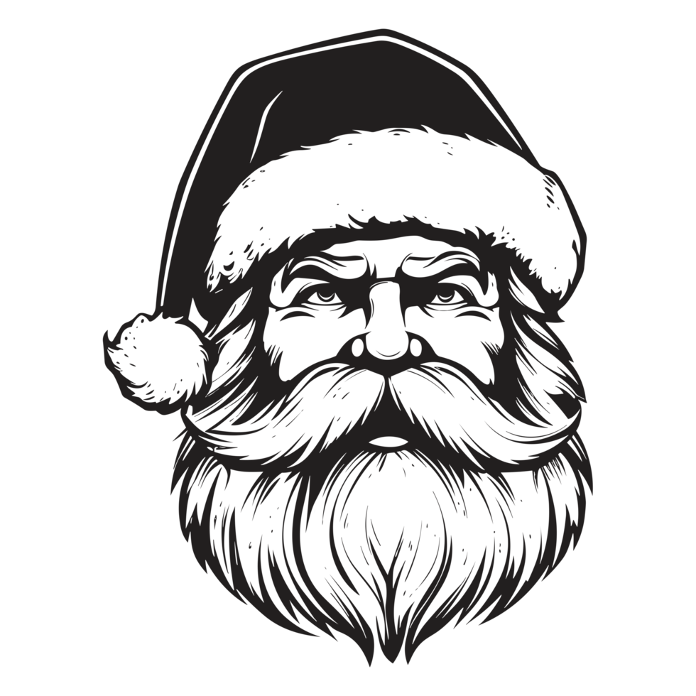 Beautiful Santa Face - png