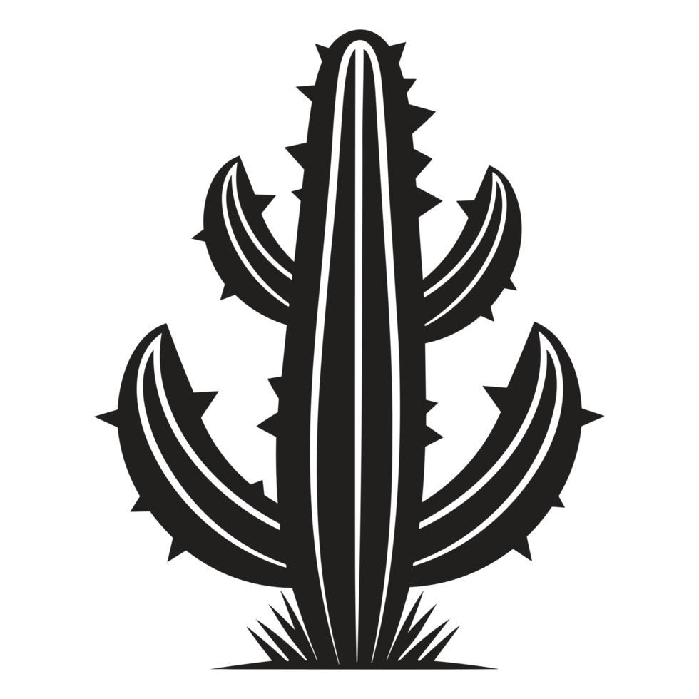 Beautiful Cactus - png