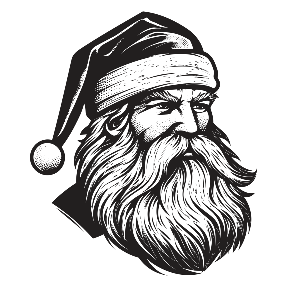 Beautiful Santa Face - png
