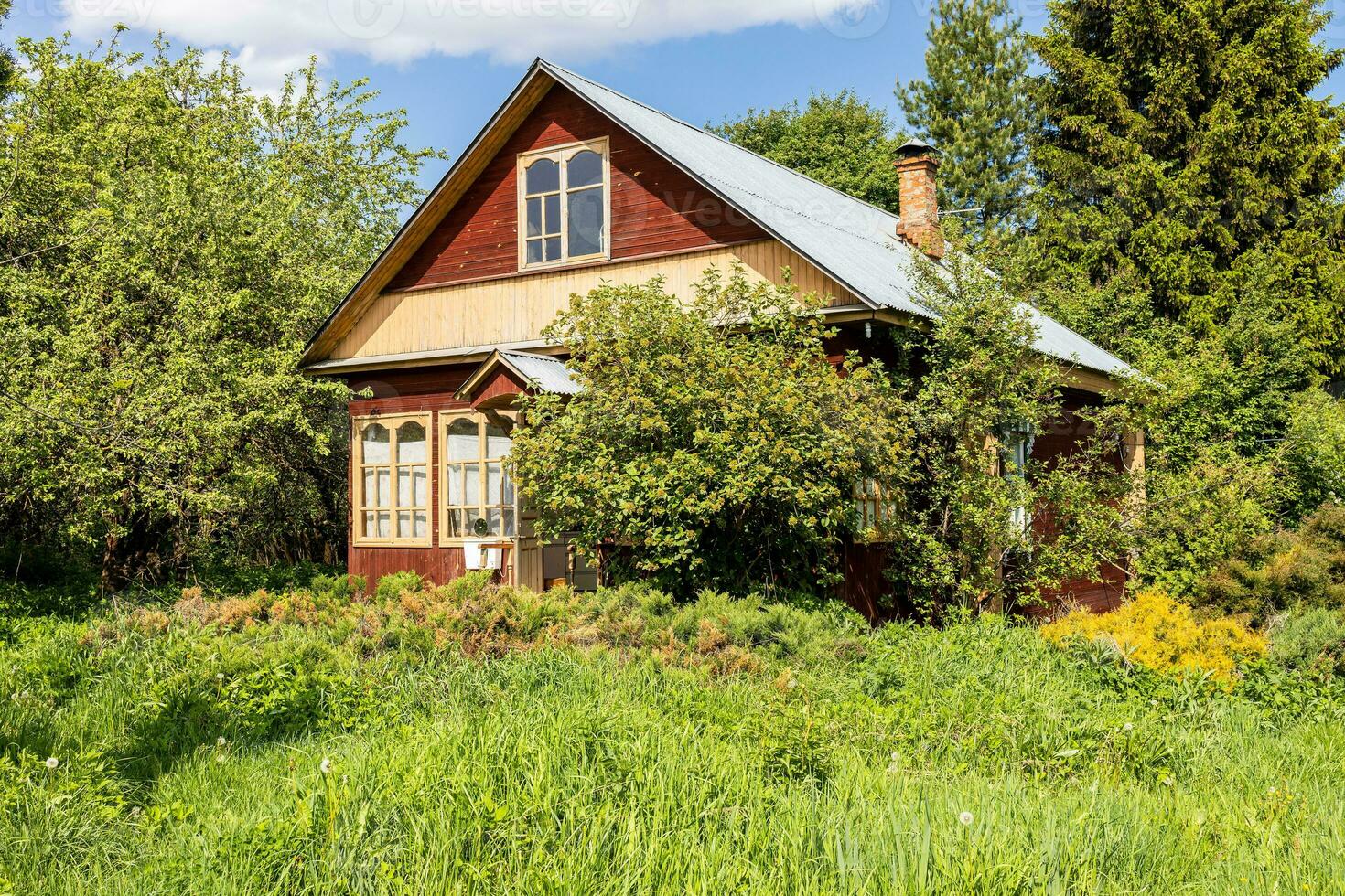 wooden cottage in green courtyard on sunny day photo