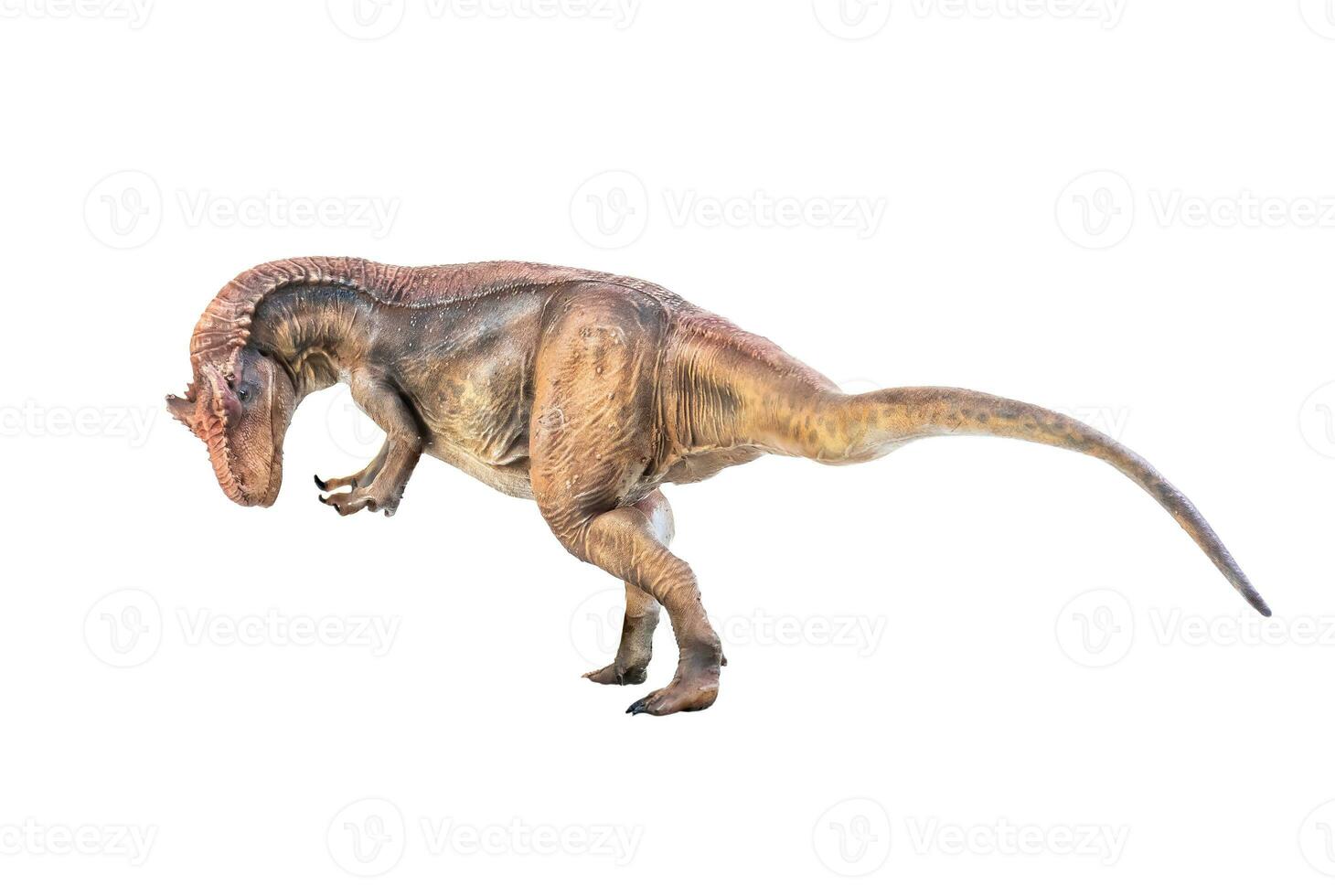 dinosaur , Allosaurus on isolated background photo