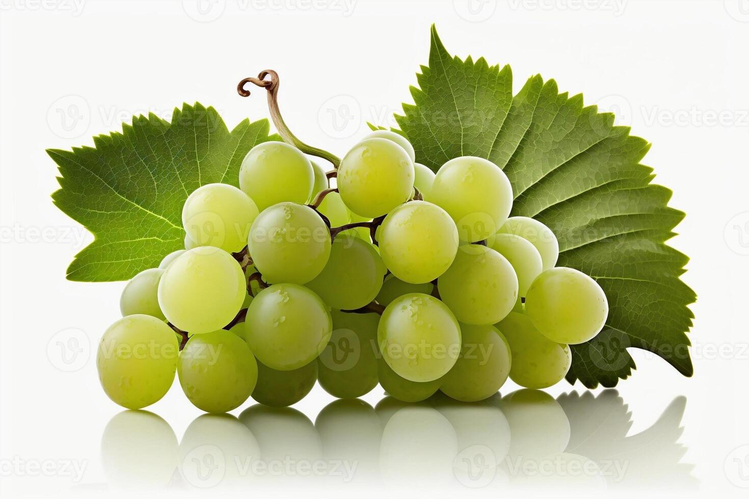 Green grapes on white background with empty space. . photo