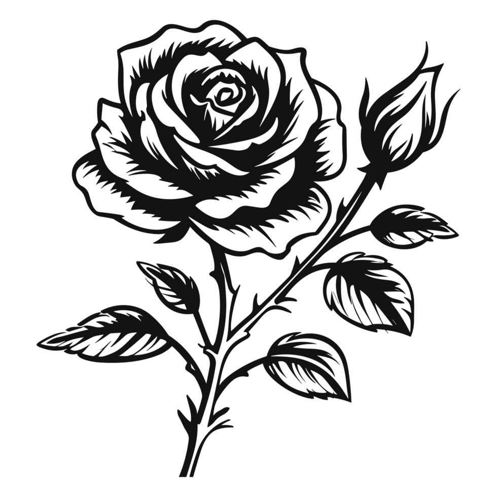 Beautiful Rose Silhouette - png