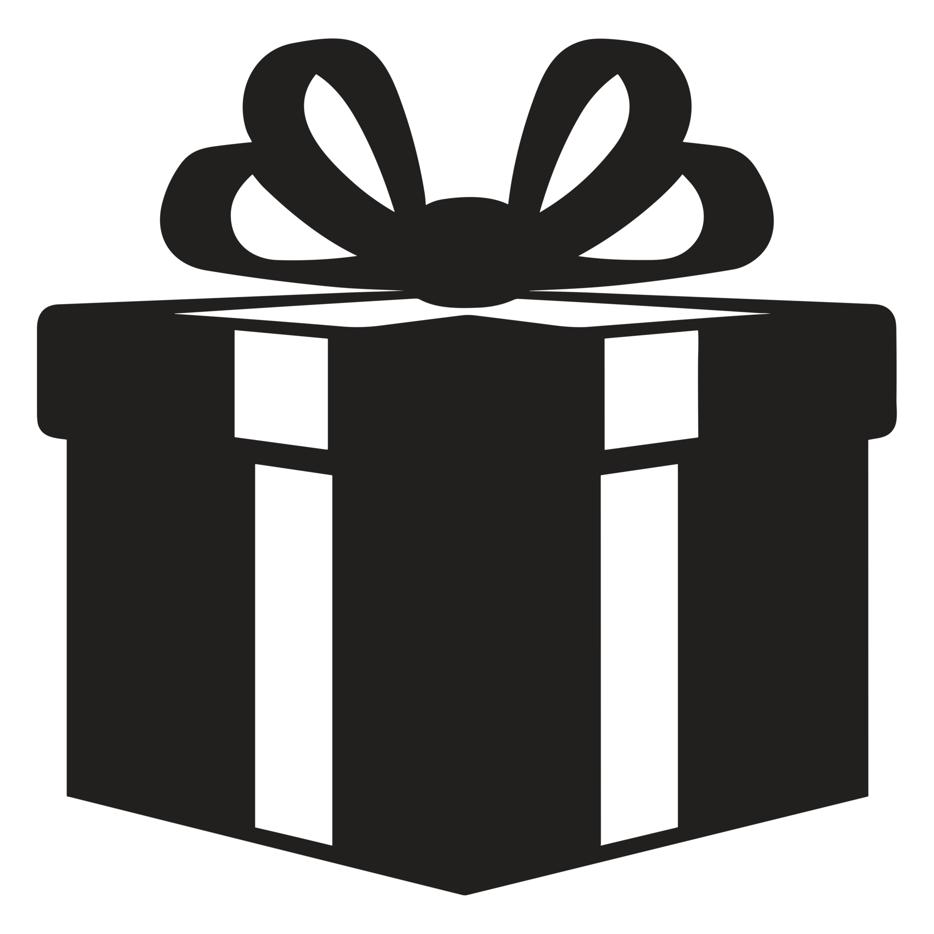 Christmas Present Silhouette 