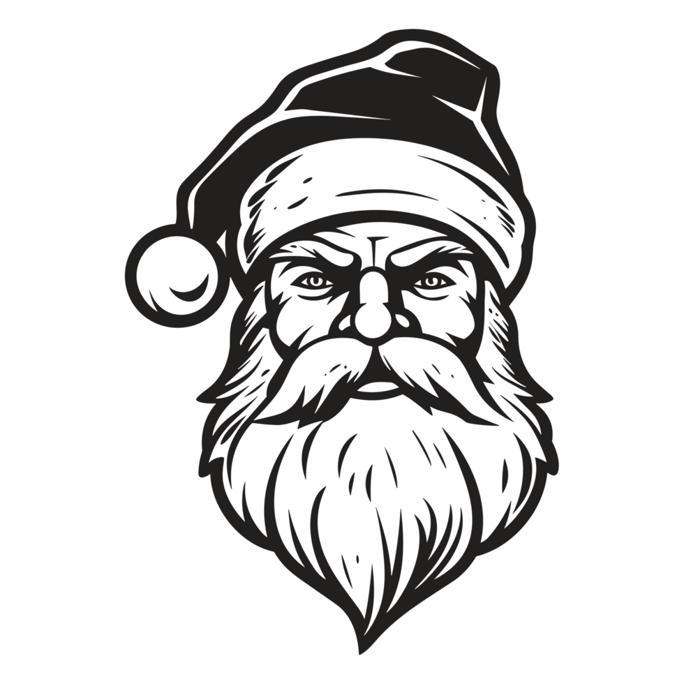 Beautiful Santa Face - png